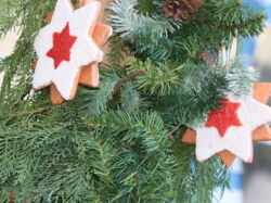 Foto: © Pia Brovinius