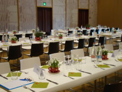 Foto: © Anita Kammerman